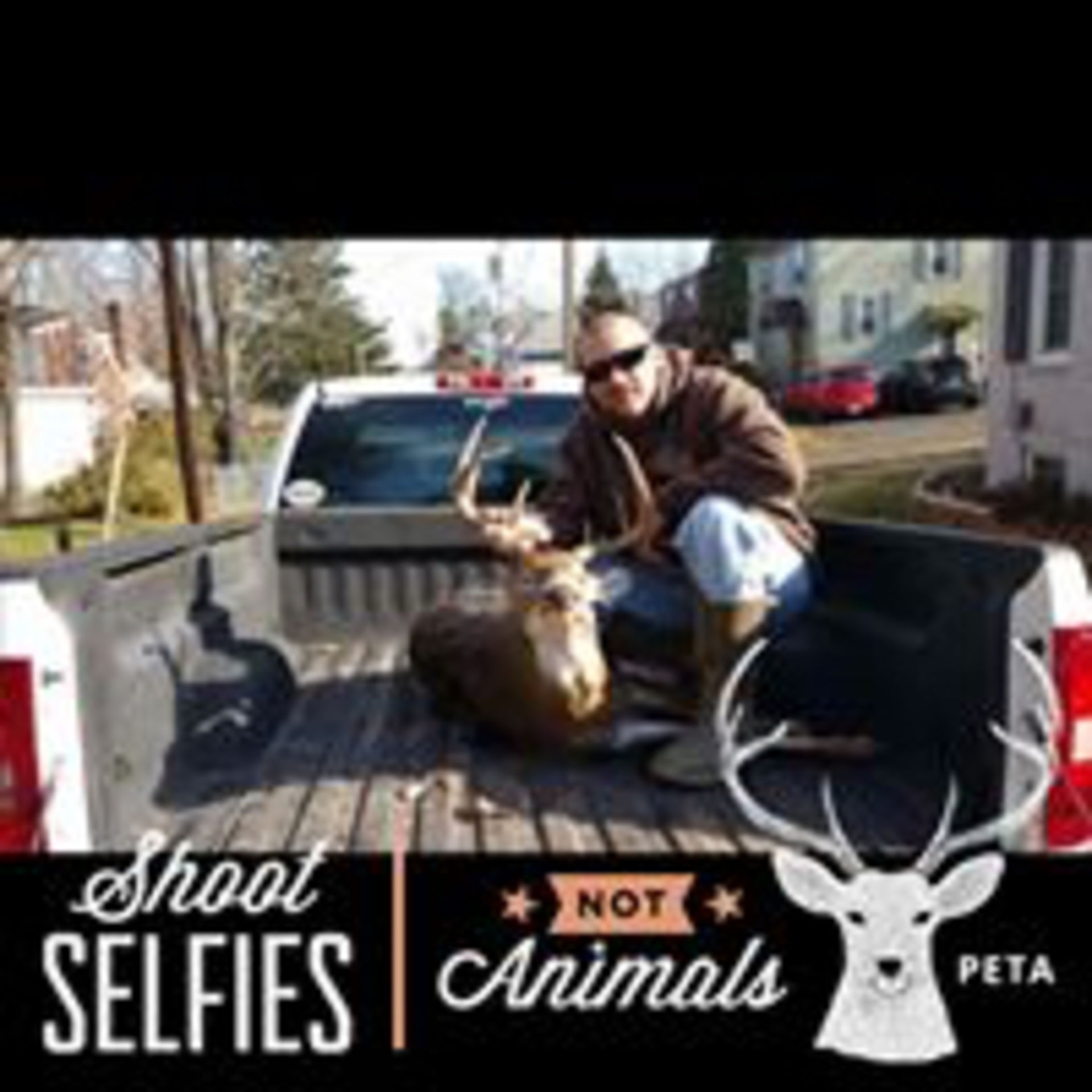 cabela's zoned comfort trac 2000 reviews