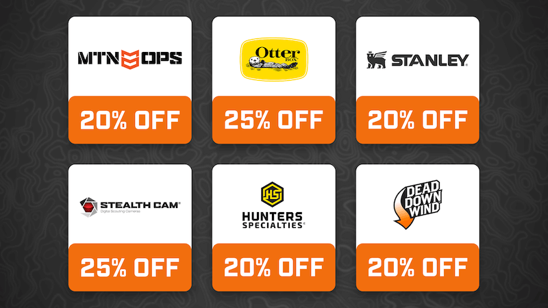 Save up to 20% on Top Brands